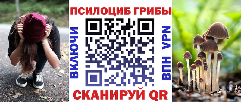 Галлюциногенные грибы ЛСД  KRAKEN зеркало  Урус-Мартан  дарнет шоп 